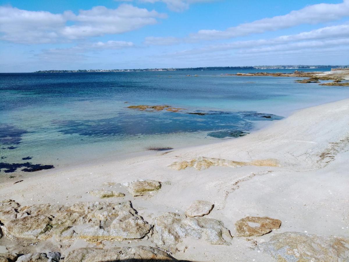 L'Ocean A 100M Via Une Venelle Privee, La Ville Close A 500M, L'Archipel Des Glenan A L'Horizon Concarneau Buitenkant foto