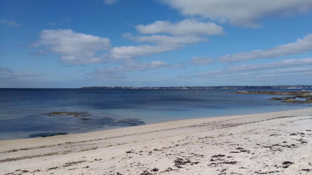 L'Ocean A 100M Via Une Venelle Privee, La Ville Close A 500M, L'Archipel Des Glenan A L'Horizon Concarneau Buitenkant foto